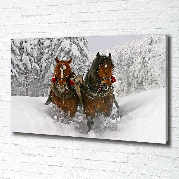 Quadro stampa su tela Giro in slitta