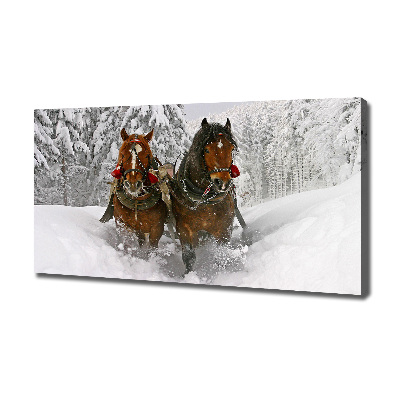 Quadro stampa su tela Giro in slitta