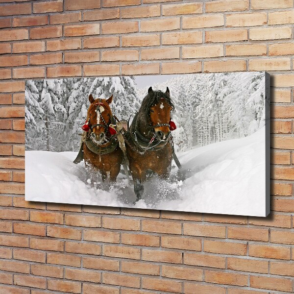 Quadro stampa su tela Giro in slitta