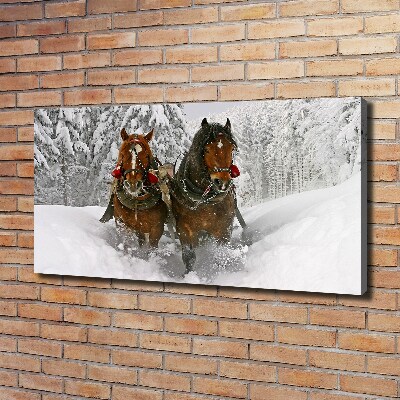 Quadro stampa su tela Giro in slitta