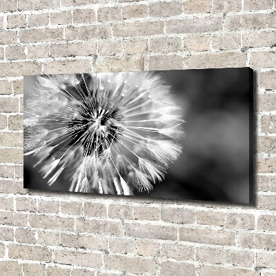 Foto quadro su tela Denti di leone