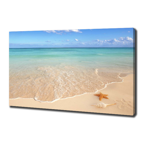 Quadro stampa su tela Stelle marine sulla spiaggia