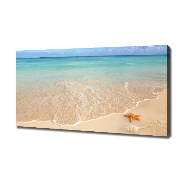 Quadro stampa su tela Stelle marine sulla spiaggia