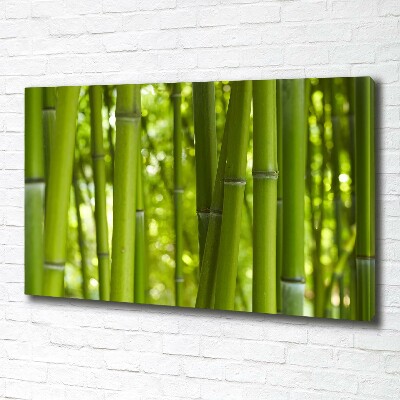 Quadro stampa su tela Bambù