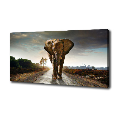 Foto quadro su tela Camminare come un elefante