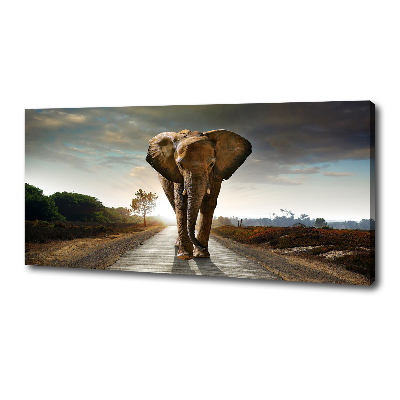 Foto quadro su tela Camminare come un elefante