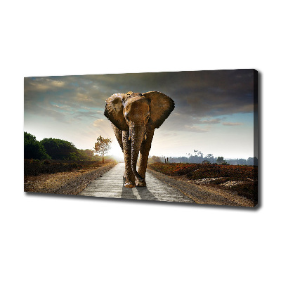 Foto quadro su tela Camminare come un elefante