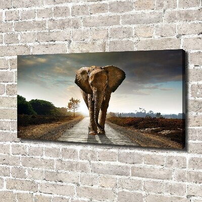 Foto quadro su tela Camminare come un elefante