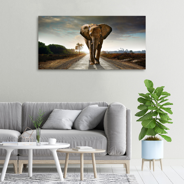 Foto quadro su tela Camminare come un elefante