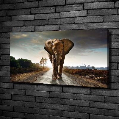 Foto quadro su tela Camminare come un elefante