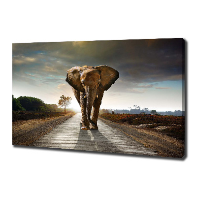 Foto quadro su tela Camminare come un elefante