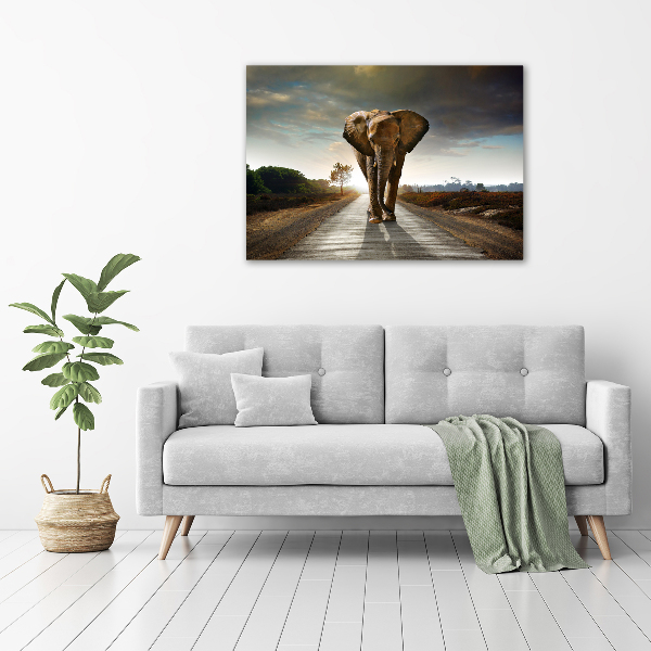 Foto quadro su tela Camminare come un elefante