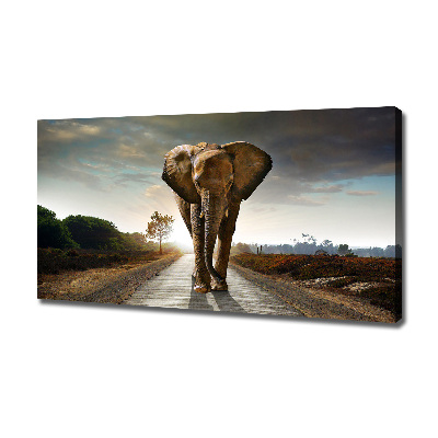 Foto quadro su tela Camminare come un elefante