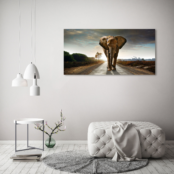 Foto quadro su tela Camminare come un elefante