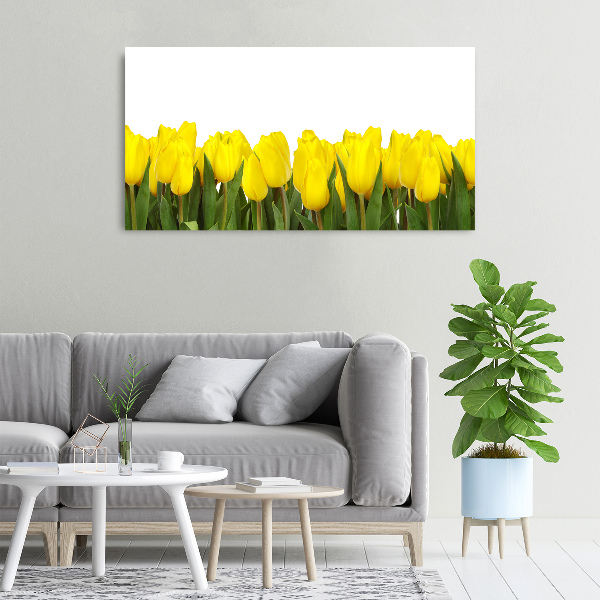 Quadro su tela Minticolo giallo