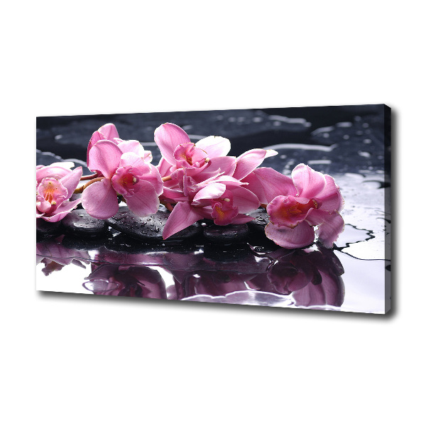 Quadro su tela Orchidea rosa