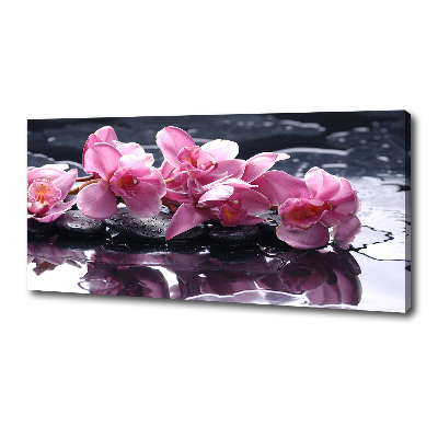 Quadro su tela Orchidea rosa