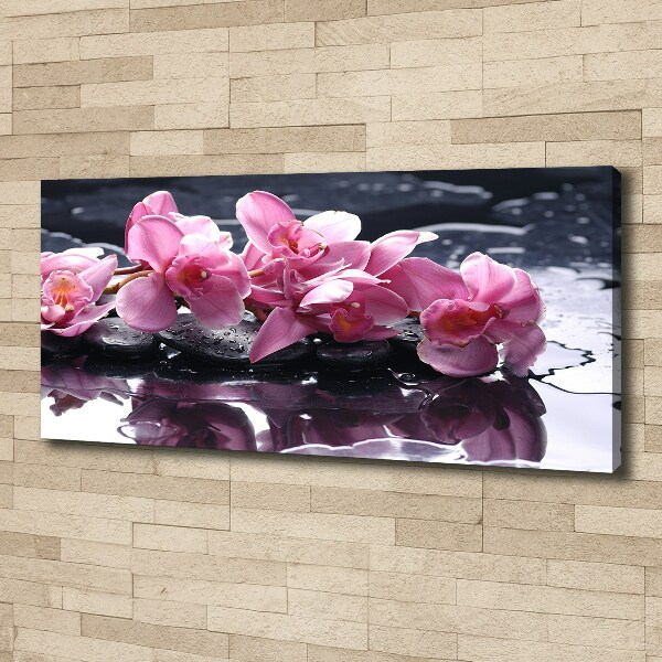 Quadro su tela Orchidea rosa