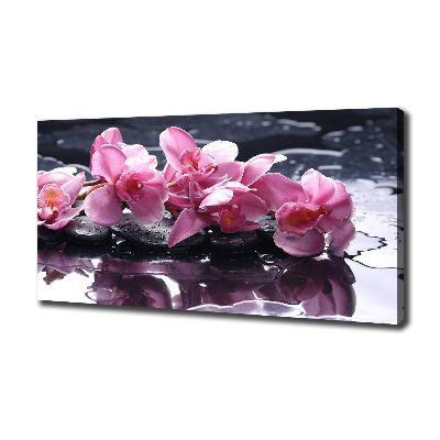 Quadro su tela Orchidea rosa