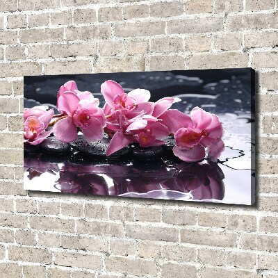 Quadro su tela Orchidea rosa