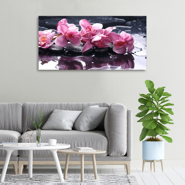 Quadro su tela Orchidea rosa