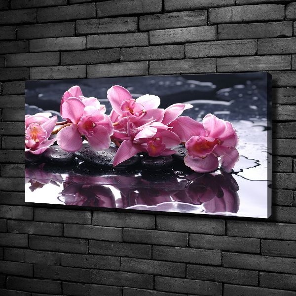 Quadro su tela Orchidea rosa