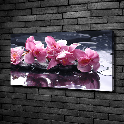 Quadro su tela Orchidea rosa