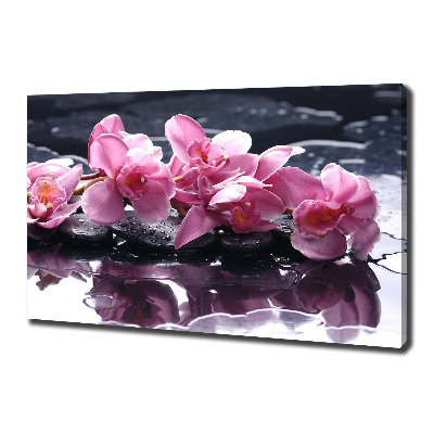 Quadro su tela Orchidea rosa