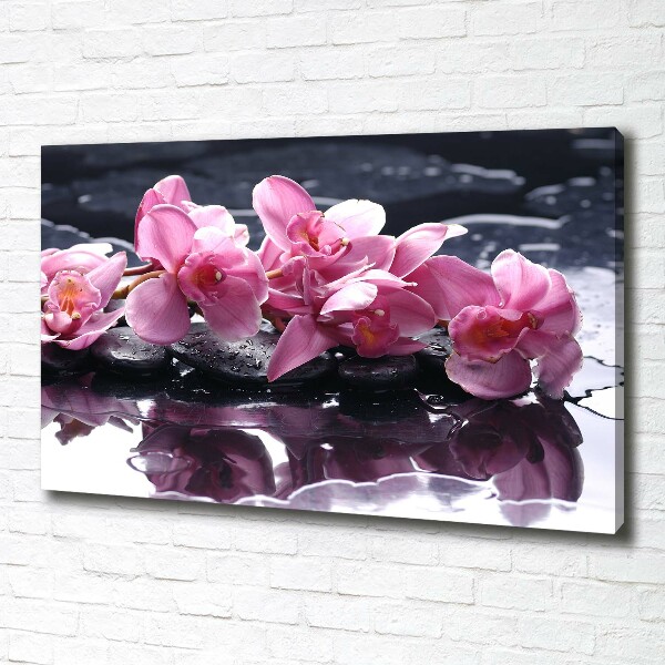 Quadro su tela Orchidea rosa