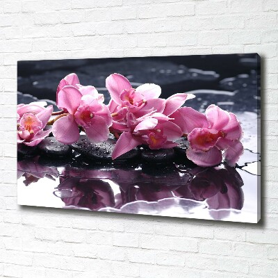 Quadro su tela Orchidea rosa
