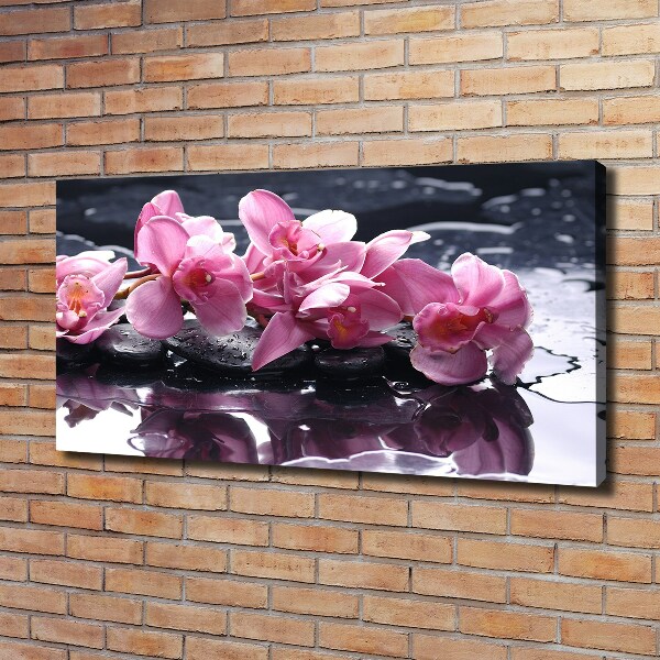 Quadro su tela Orchidea rosa