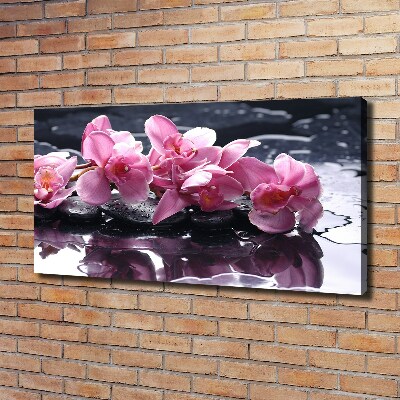 Quadro su tela Orchidea rosa