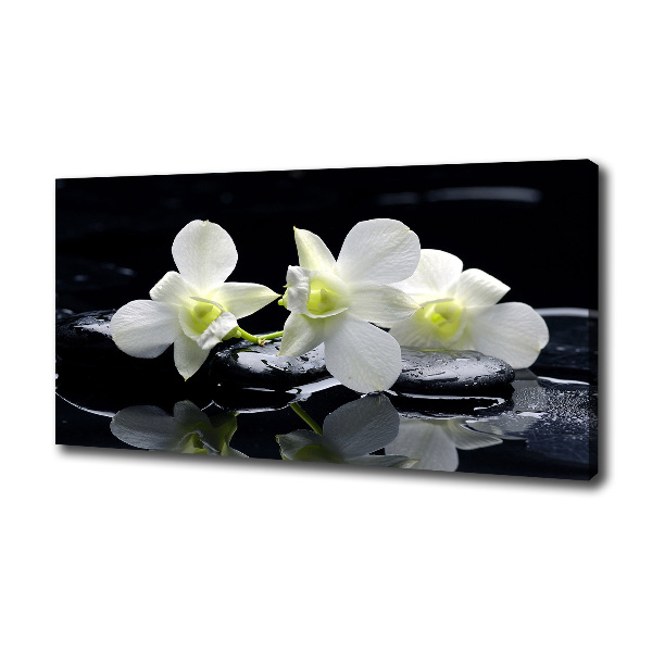 Foto quadro su tela Orchidea