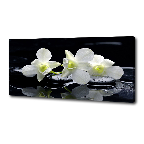 Foto quadro su tela Orchidea