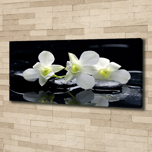 Foto quadro su tela Orchidea