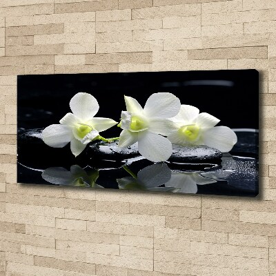 Foto quadro su tela Orchidea