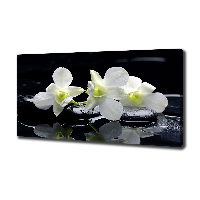 Foto quadro su tela Orchidea
