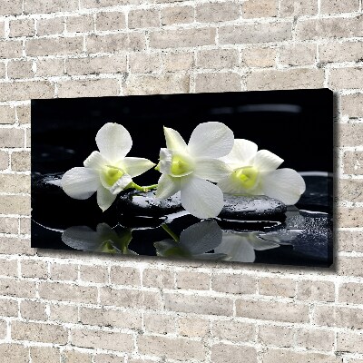 Foto quadro su tela Orchidea
