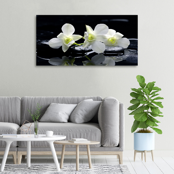 Foto quadro su tela Orchidea