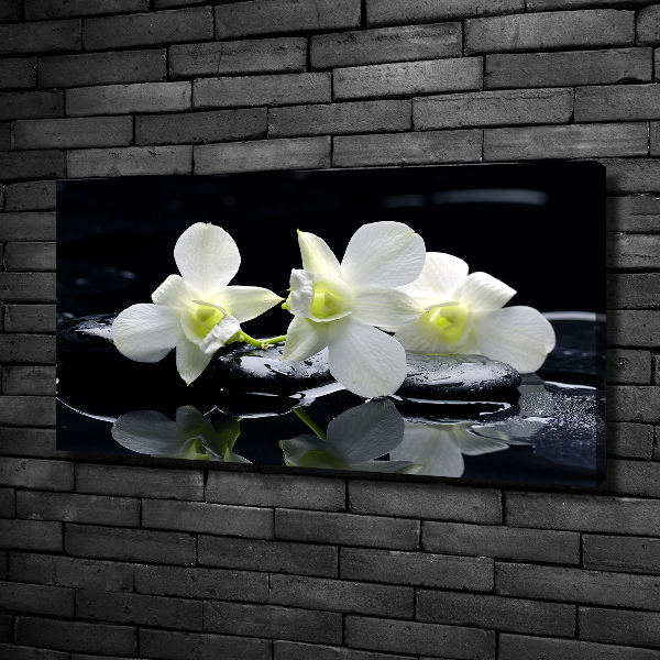 Foto quadro su tela Orchidea