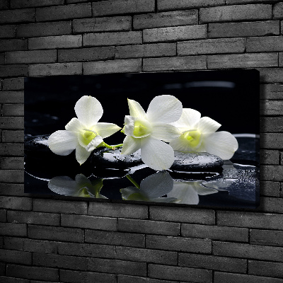 Foto quadro su tela Orchidea