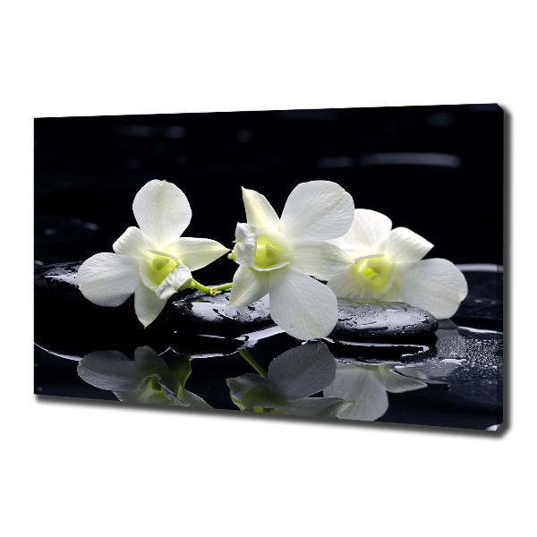 Foto quadro su tela Orchidea