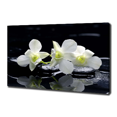 Foto quadro su tela Orchidea