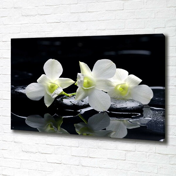 Foto quadro su tela Orchidea