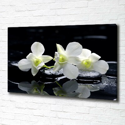 Foto quadro su tela Orchidea