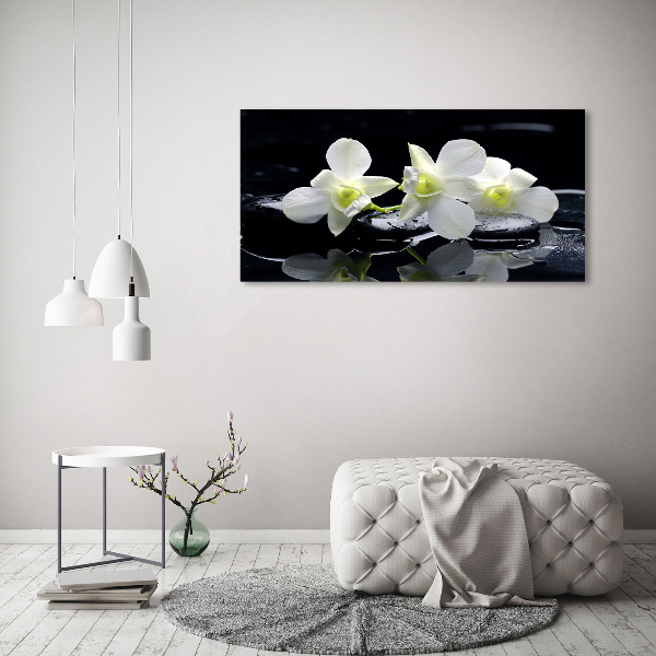 Foto quadro su tela Orchidea