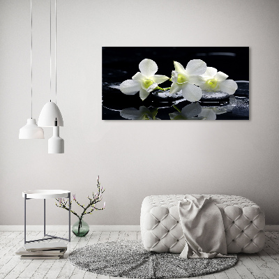 Foto quadro su tela Orchidea