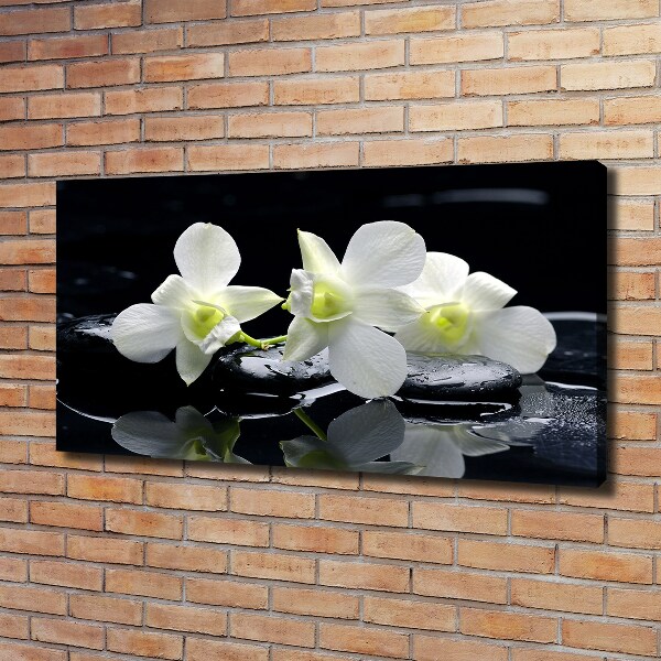 Foto quadro su tela Orchidea