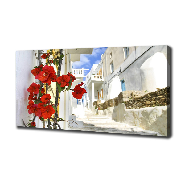 Quadro su tela Mykonos, Grecia