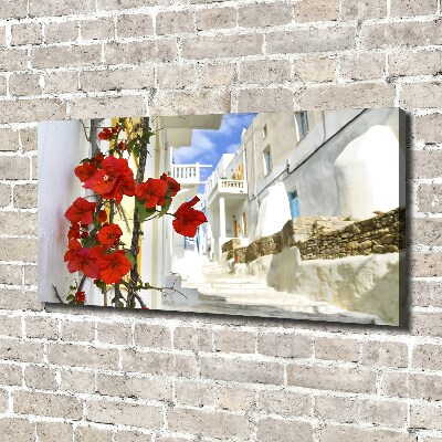 Quadro su tela Mykonos, Grecia